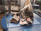 Les objets metalliques récupérés : canettes, passoire, boîtes de conserve, et (...)